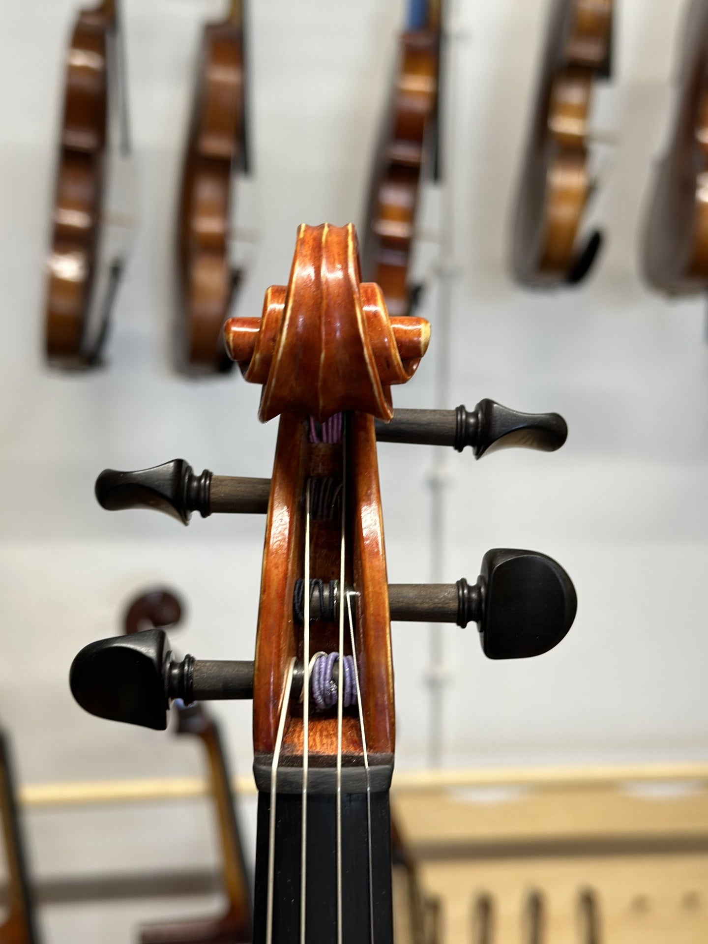Viola de Arco 2023